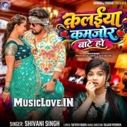 Kalaiya Kamjor Bate Ho (Shivani Singh)